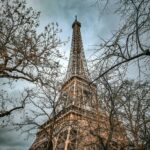 Eiffel Tower in Paris, surrounded by bare trees during winter, under a cloudy sky.