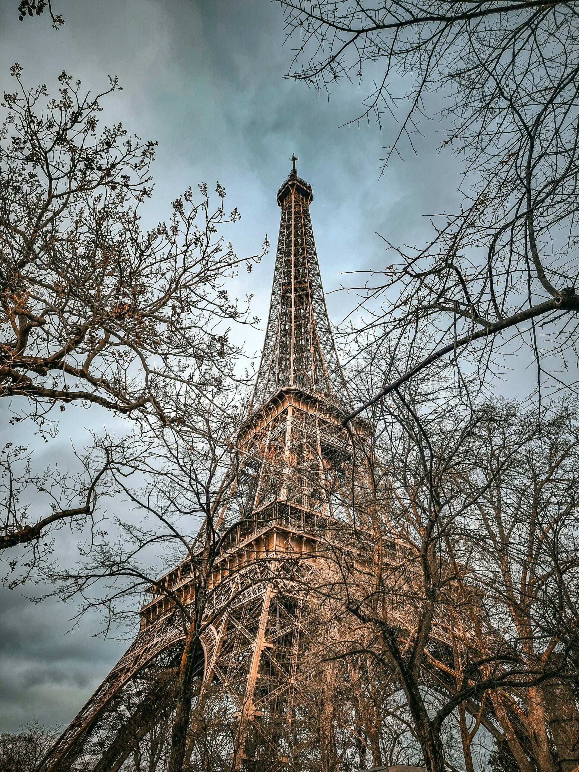 Eiffel Tower in Paris, surrounded by bare trees during winter, under a cloudy sky.